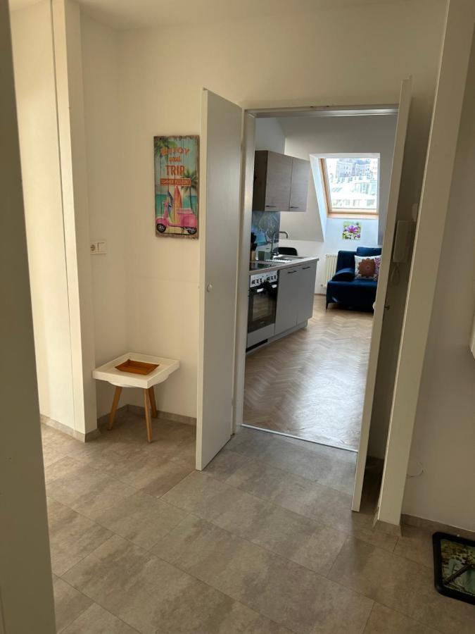 Klimatisiertes Dachgeschoss In Zentrum Wiens Apartamento