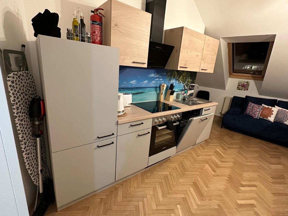 Apartamento Klimatisiertes Dachgeschoss In Zentrum Wiens